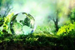 environnement